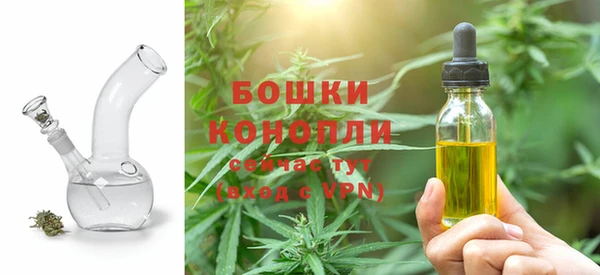 сатива Алексеевка